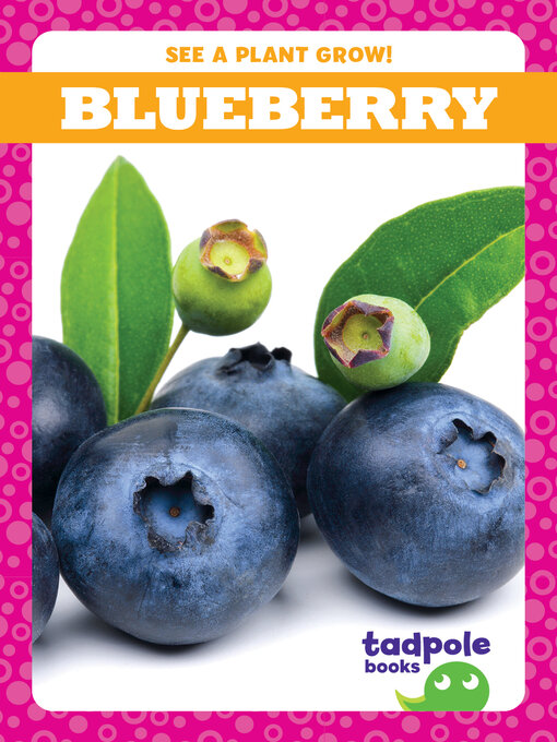 Title details for Blueberry by Charlie W. Sterling - Available